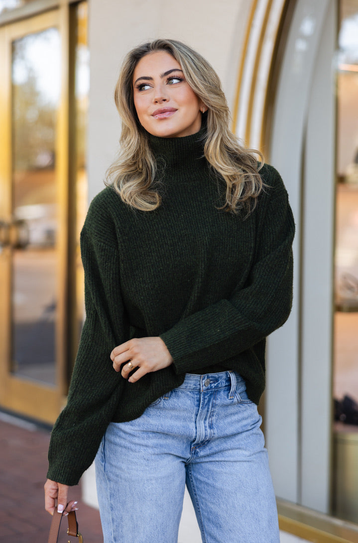 Solid Turtleneck Sweater