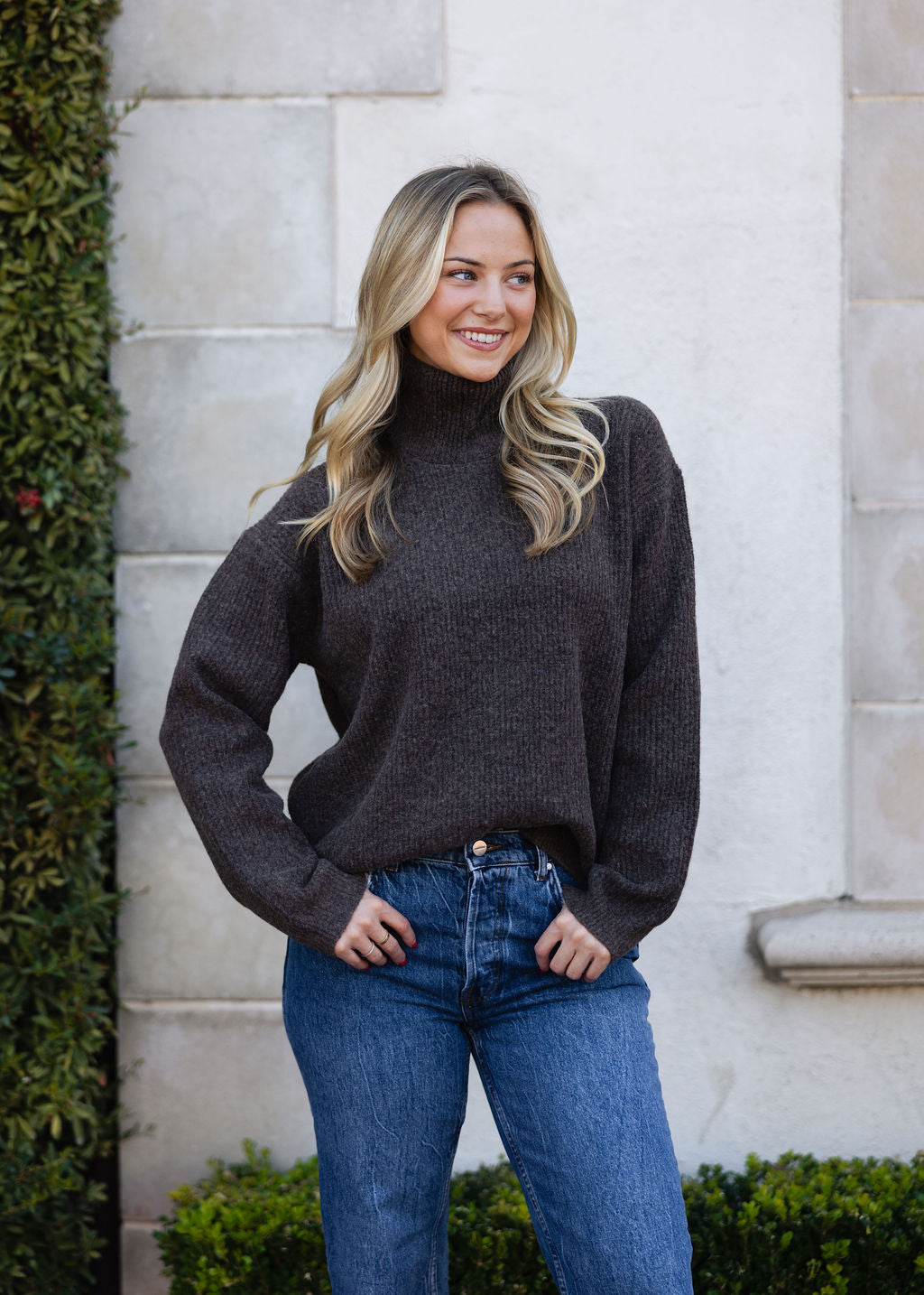 Solid Turtleneck Sweater